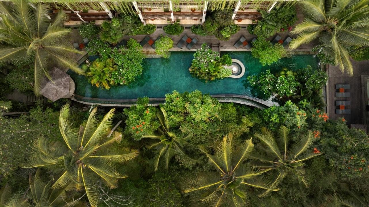 an overhead view of a pool with trees and plants at Arkamara Dijiwa Ubud in Ubud