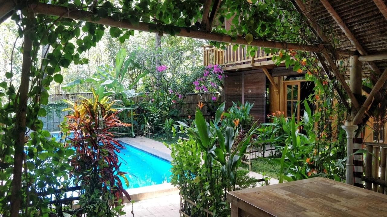 a garden with a swimming pool and some plants at Villa Kong in Amed