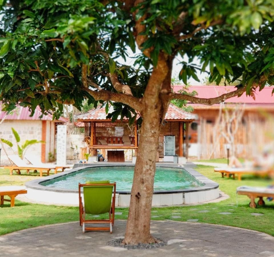 a tree and a chair next to a swimming pool at La Cama Bali in Uluwatu