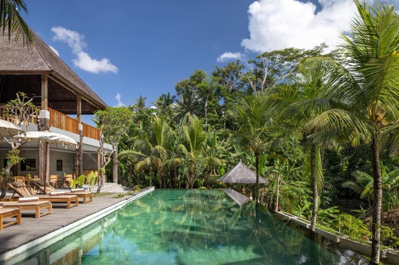 an infinity pool at a resort with chairs and trees at RUMAH KAYU RESORT in Ubud