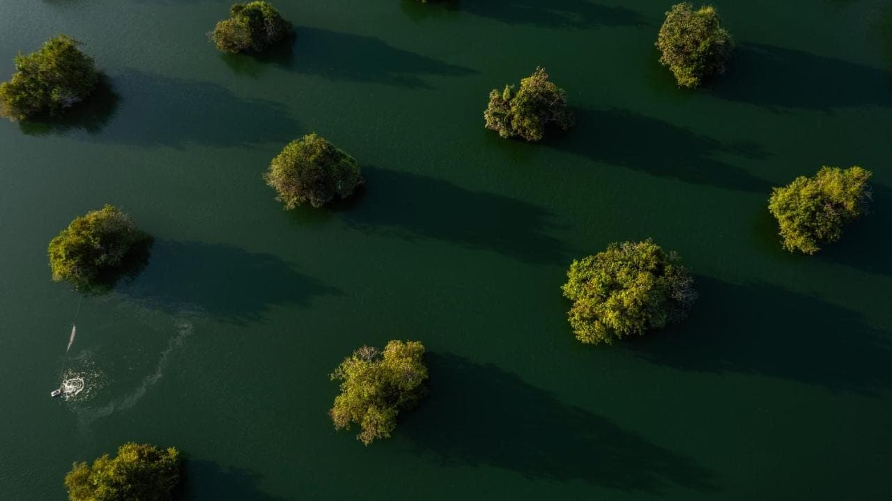 an aerial view of trees in the water at Bali Sunshine Nusa Dua in Nusa Dua