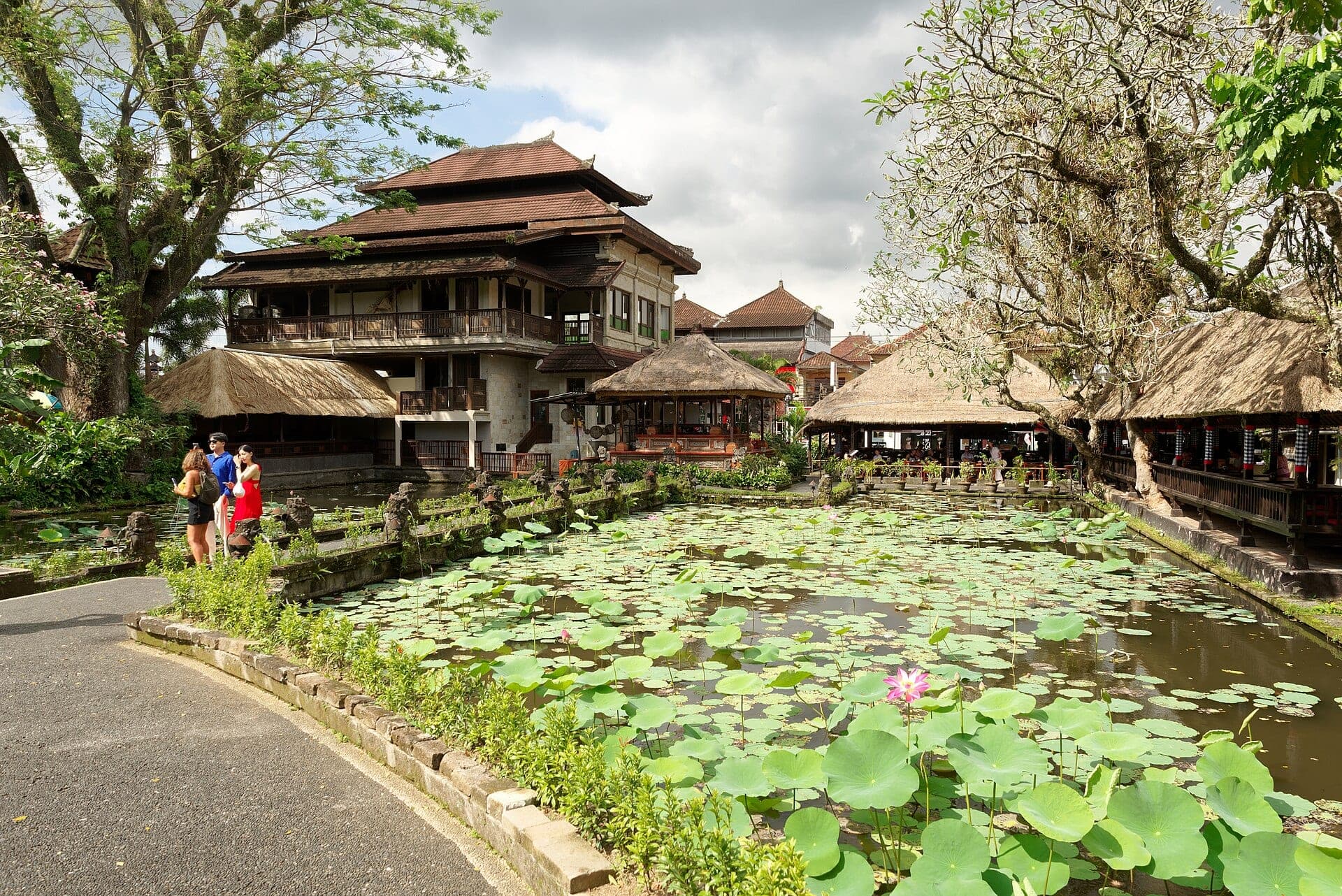 Lotus pond in front of Taman Saraswati Temple, Ubud, Bali