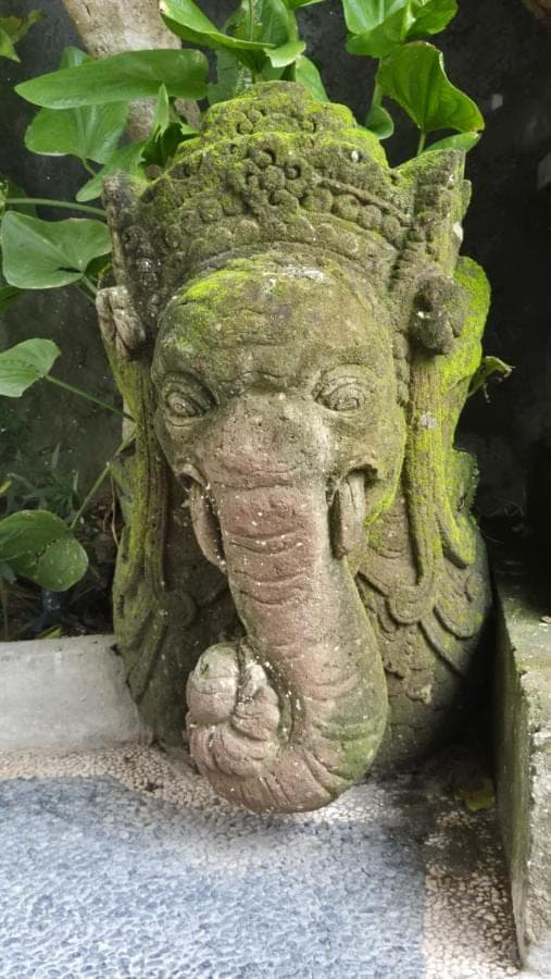 a statue of an elephant with moss on its head at Laksmi Guest House in Canggu