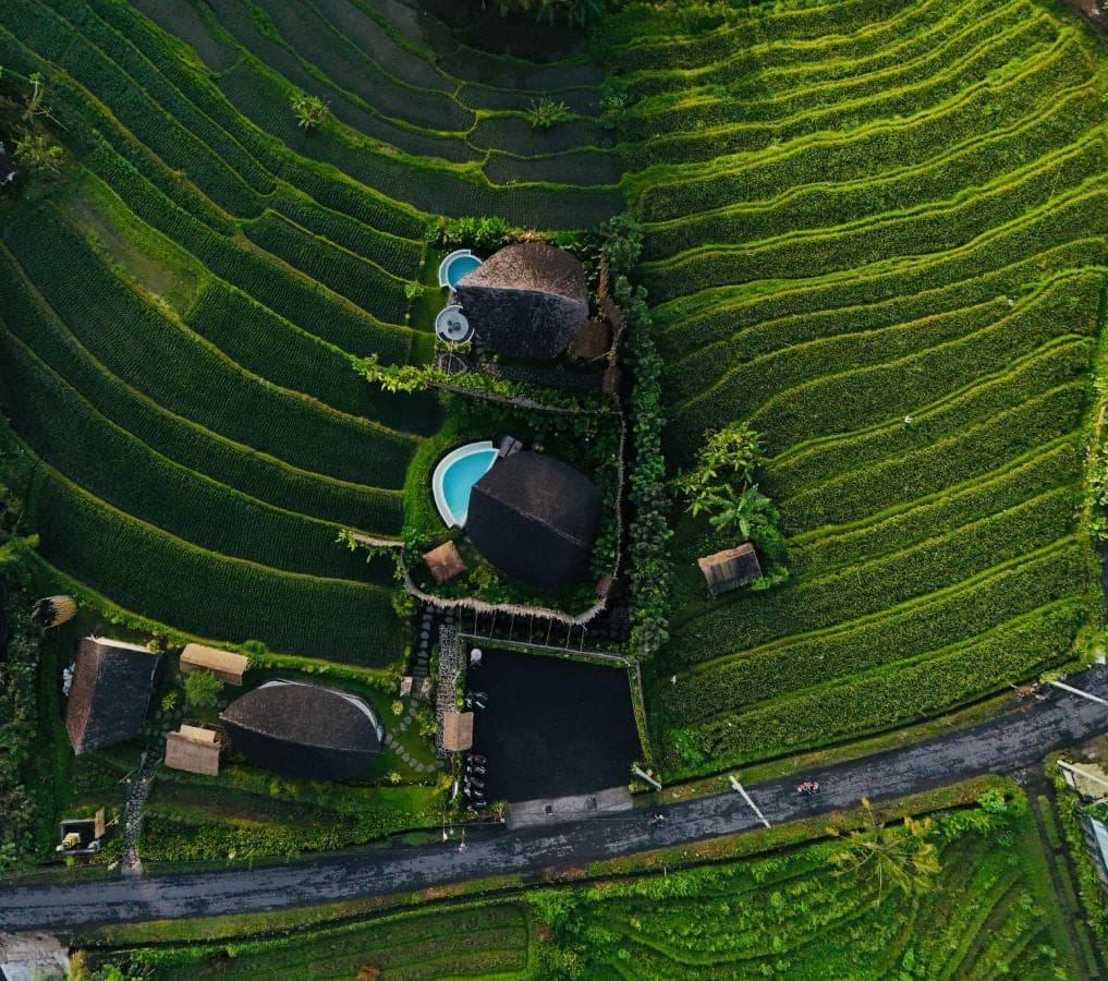 an overhead view of a field with pesticides at Nivriti Bali in Sidemen