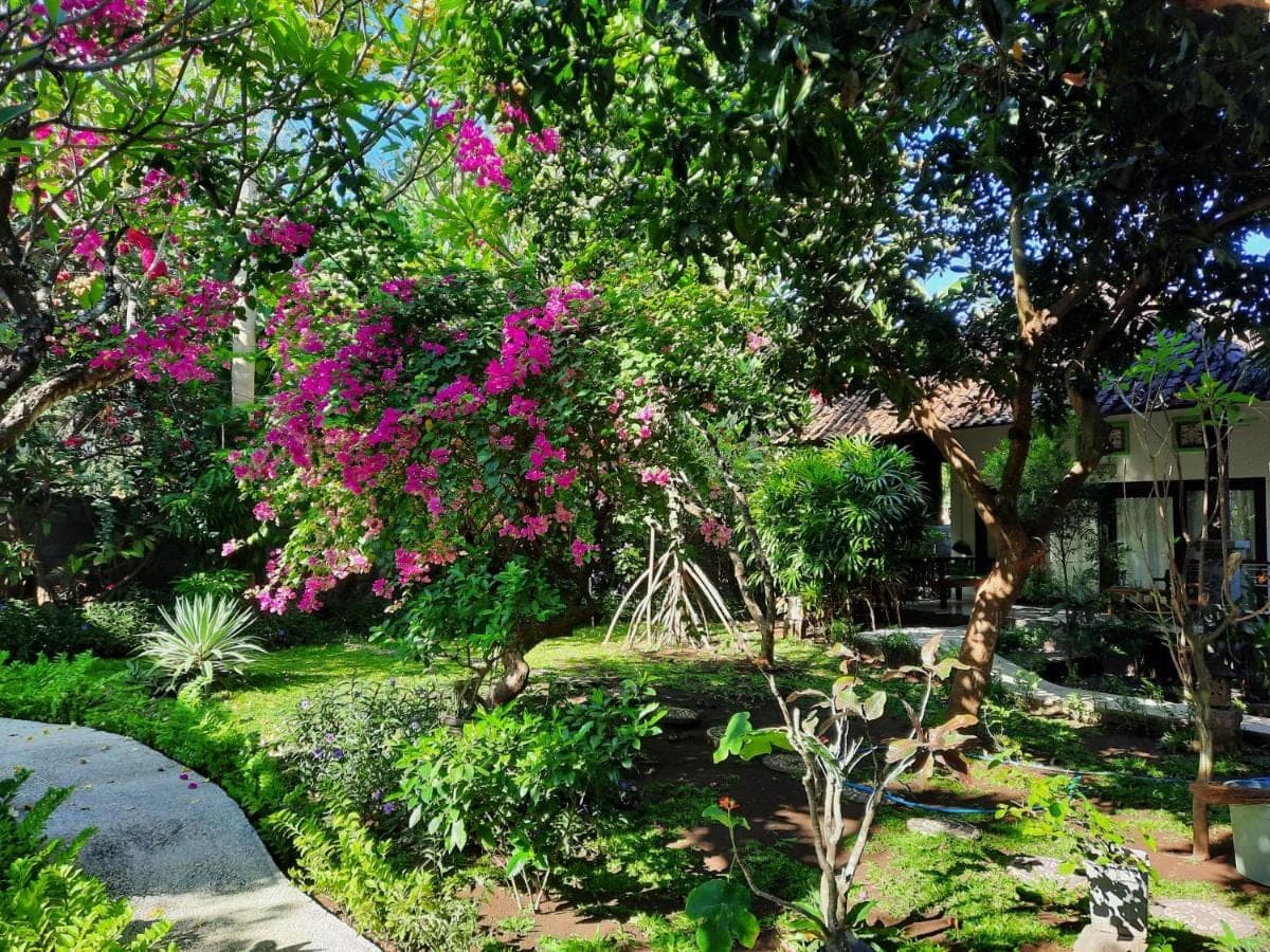 a garden with pink flowers in a yard at Kirana Homestay in Amed