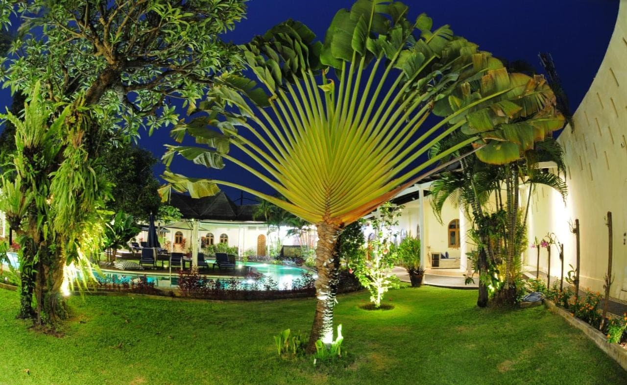 a palm tree in the yard of a house at Villa Costa Sanur in Sanur