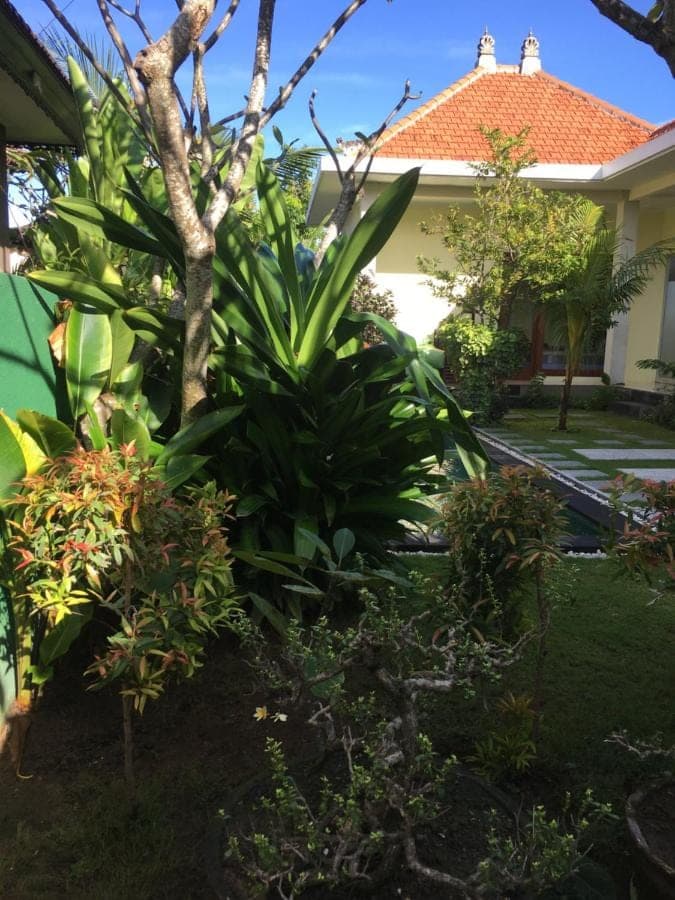 a garden in front of a house with plants at Kubu Green in Nusa Dua