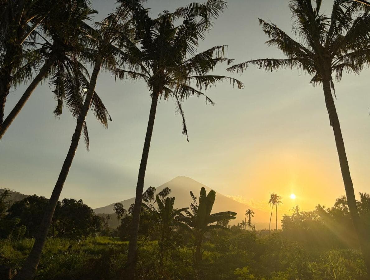 a group of palm trees with a mountain in the background at Kayana Amed in Amed