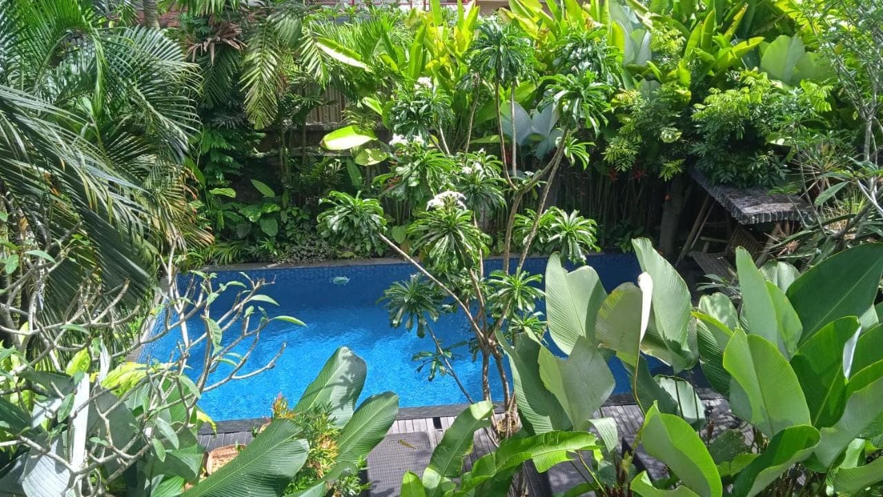 a garden with a blue pool in the middle at Tanah Semujan Ubud in Ubud