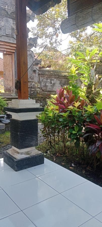 a garden with a bunch of flowers and plants at House market in Sidemen