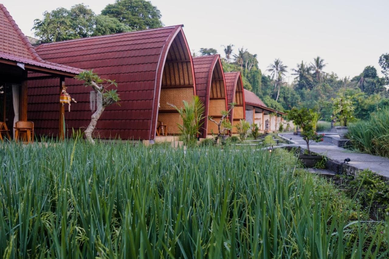 a building with red roofs and a field of tall grass at Uma Raos Cottage in Ubud