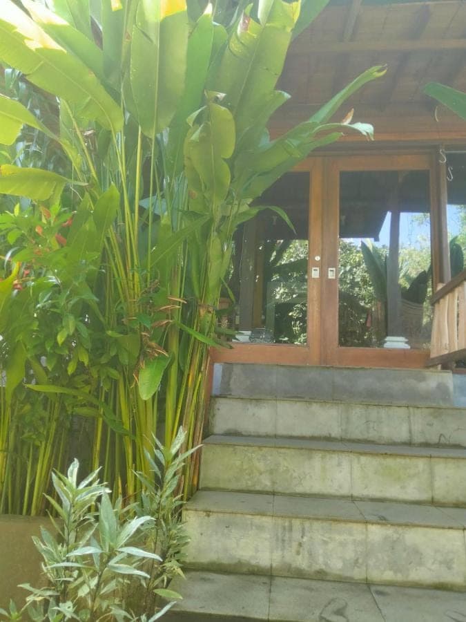 a set of stairs leading to a building with plants at Pier26 Bali Homestay in Nusa Dua