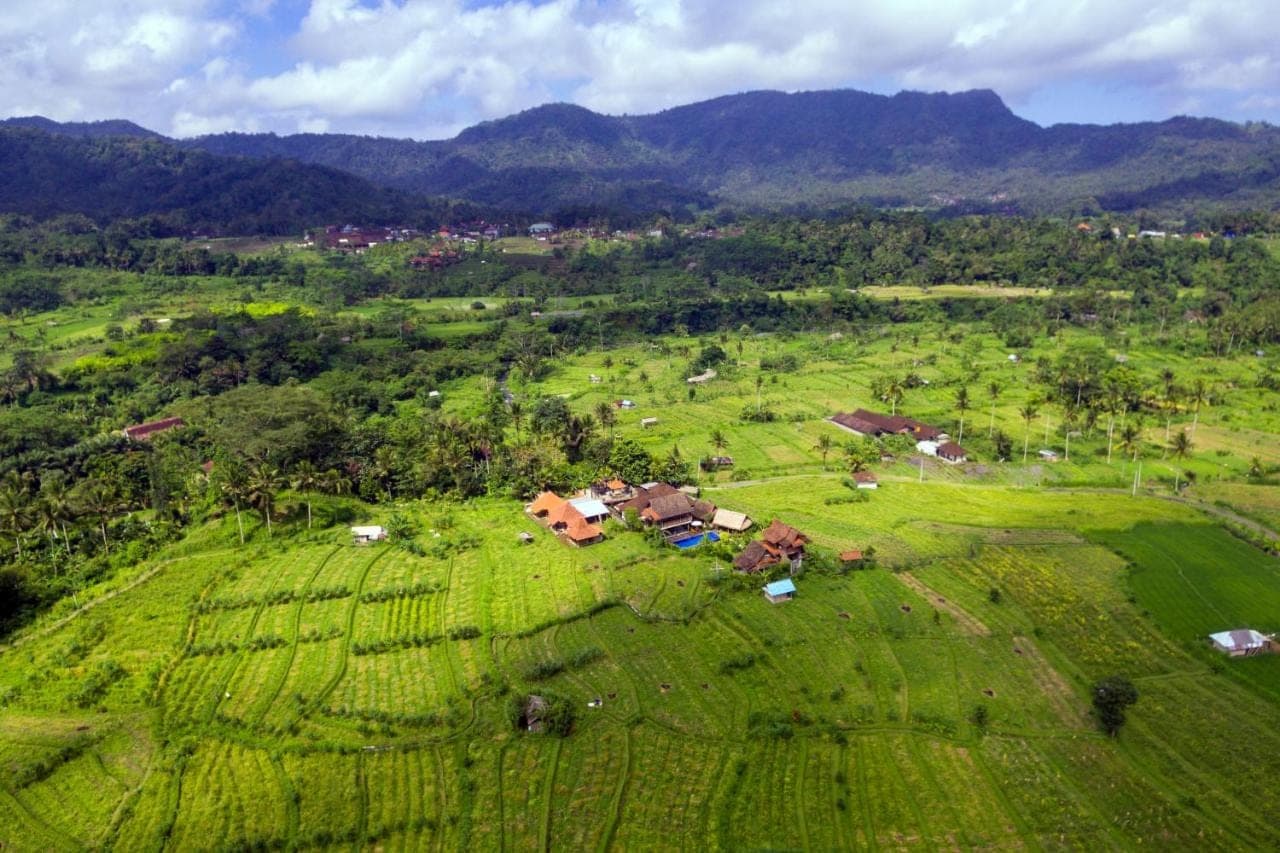 an aerial view of a farm in a green field at Kubu Sakian Villa and Restaurant Sidemen in Sidemen