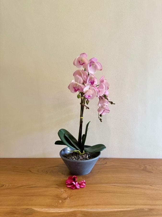 a pink flower in a bowl on a table at Dega Gardens in Canggu