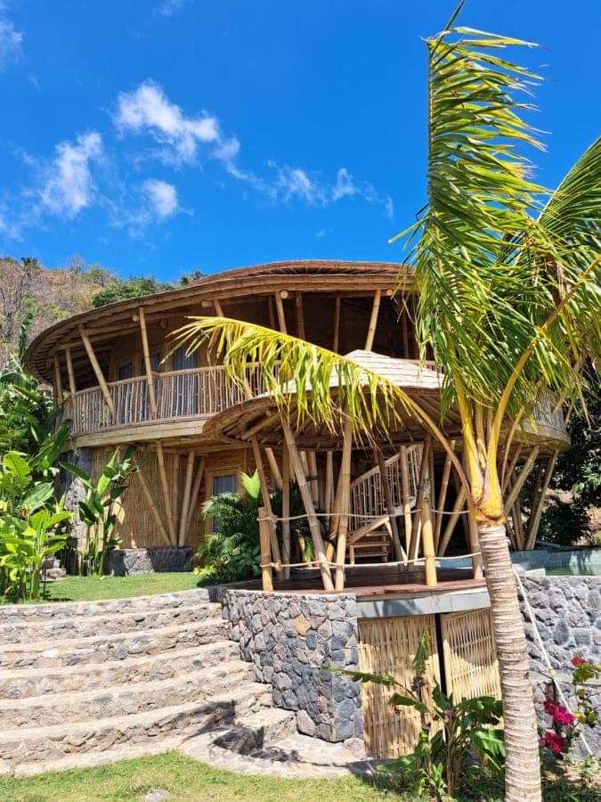 a resort with a palm tree in front of it at Villas Bukit Lipah in Amed