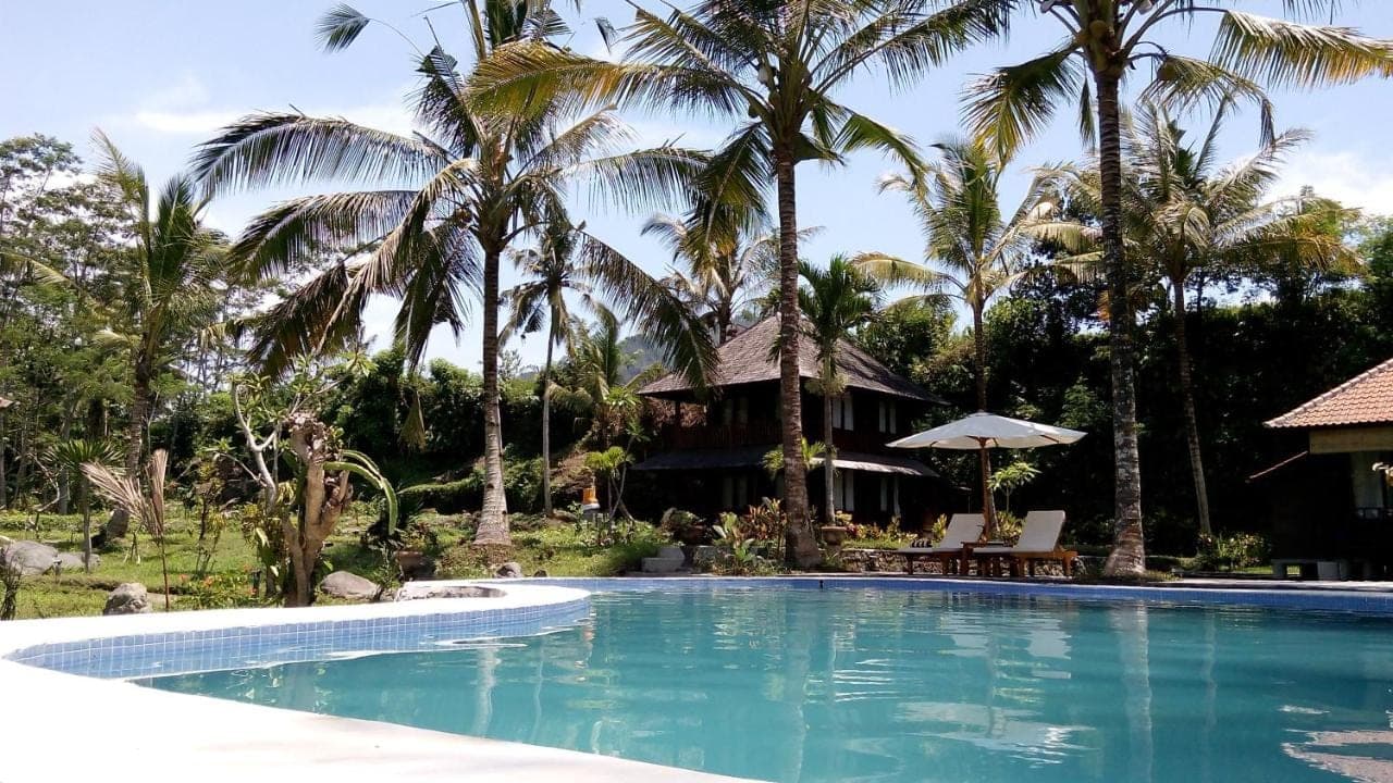 a swimming pool in front of a house with palm trees at Villa Uma Ayu Sidemen in Sidemen