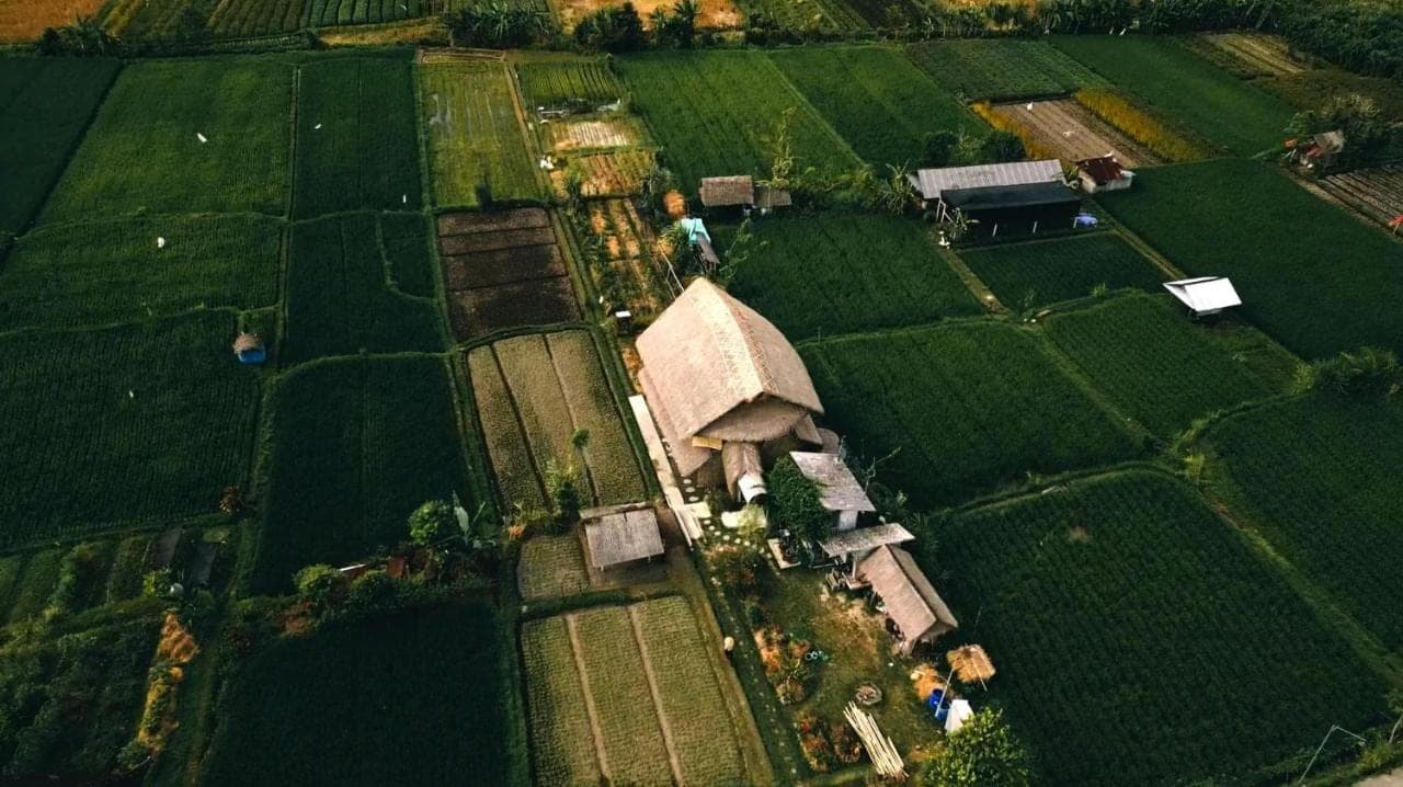 an aerial view of a farm with a barn at Conrad Bali in Nusa Dua