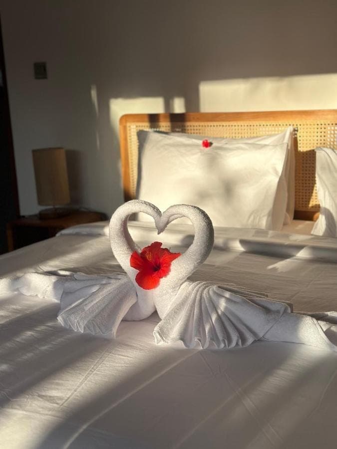 two swans making a heart on a bed at Made Putu homestay in Sidemen