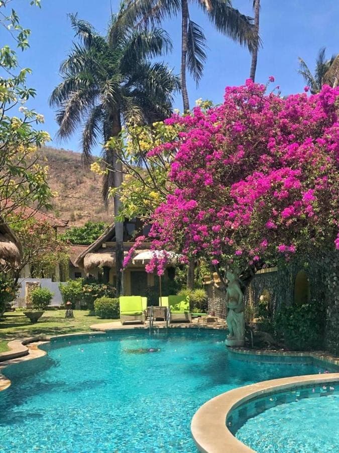 a swimming pool with a tree with pink flowers at Life in Amed Beach Hotel in Amed
