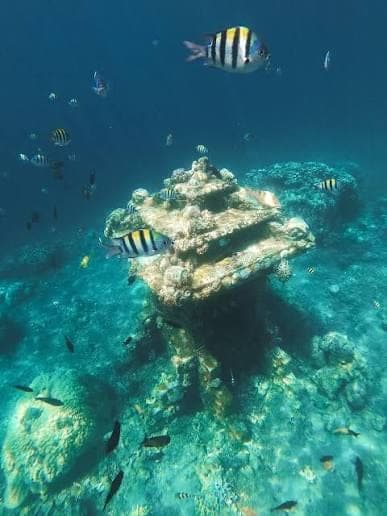 Underwater Shrine